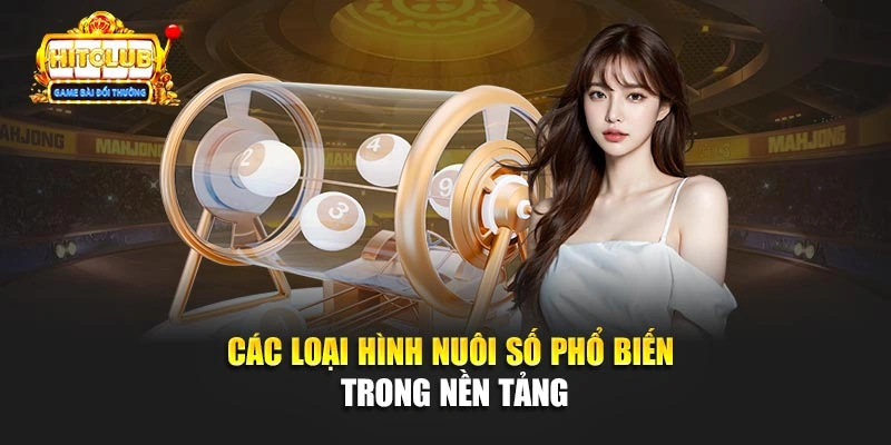 Các loại hình nuôi số phổ biến trong nền tảng