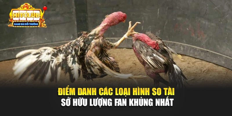 Điểm danh các loại hình so tài sở hữu lượng fan khủng nhất