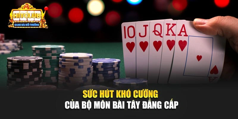 Sức hút khó cưỡng của bộ môn bài tây đẳng cấp